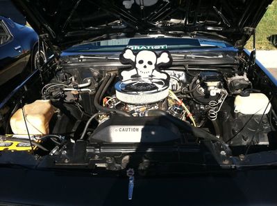 262488_221971137848053_509257_n.jpg