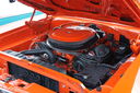 DSC00339.JPG