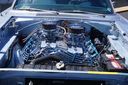Filename=DSC06270.JPG
Filesize=553KiB
Dimensions=2047x1361
Date added=Mar 29, 2018 DSC06270.JPG