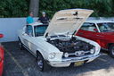 Filename=DSC06214.JPG
Filesize=608KiB
Dimensions=2047x1361
Date added=Mar 29, 2018 DSC06214.JPG