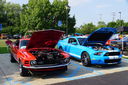 Filename=DSC06368.JPG
Filesize=717KiB
Dimensions=2047x1361
Date added=Mar 29, 2018 DSC06368.JPG